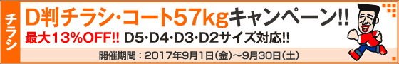 D判チラシ印刷キャンペーン　コートD判57kg限定!!