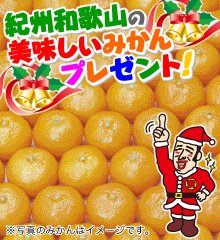 プレゼントキャンペーン