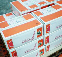 プレゼントキャンペーン