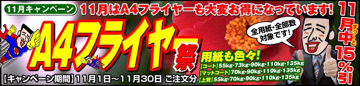 11月キャンペーン　A4フライヤー祭