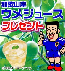 梅ジュース プレゼント