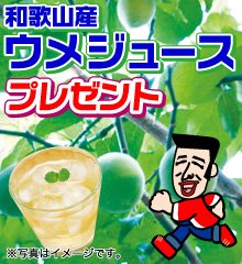 梅ジュース プレゼント