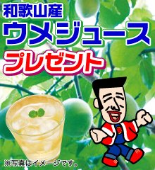 梅ジュース プレゼント