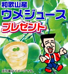 梅ジュース プレゼント