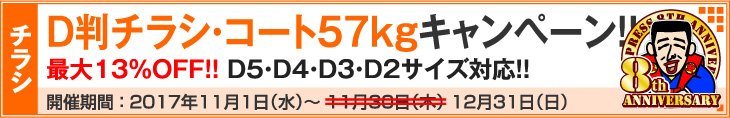 D判チラシ印刷・コート57kg祭