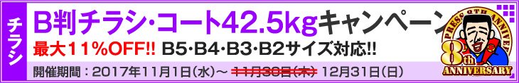 B判チラシ印刷・これだけ3％OFFキャンペーン