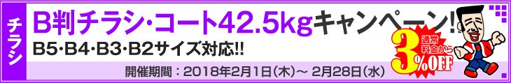 B判チラシ印刷・これだけ3％OFFキャンペーン