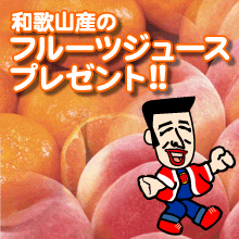 梅ジュース プレゼント