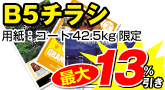 B5チラシ