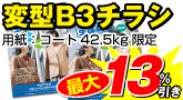 変型B3チラシ