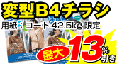 変型B4チラシ