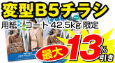 変型B5チラシ