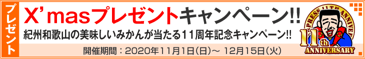10周年記念クリスマスプレゼントキャンペーン