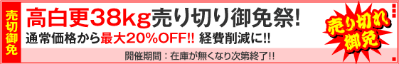 高白更38kg用紙対象・売り切りキャンペーン