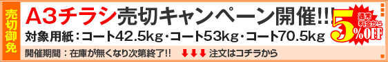 A3チラシ売切キャンペーン！
