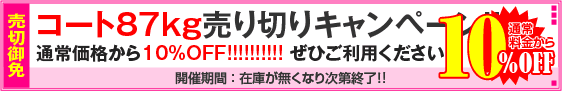 コート87kg用紙対象・売り切りキャンペーン