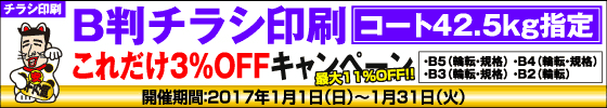 B判チラシ印刷　これだけ3%OFFキャンペーン