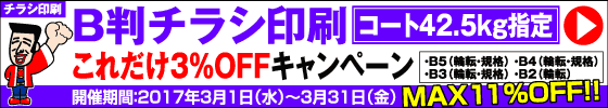 B判チラシ印刷　これだけ3%OFFキャンペーン