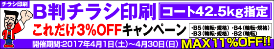 B判チラシ印刷　これだけ3%OFFキャンペーン
