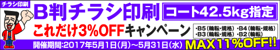 B判チラシ印刷　これだけ3%OFFキャンペーン
