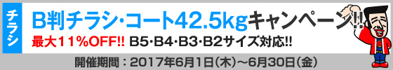 B判チラシ印刷　これだけ3%OFFキャンペーン