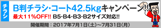 B判チラシ印刷　これだけ3%OFFキャンペーン