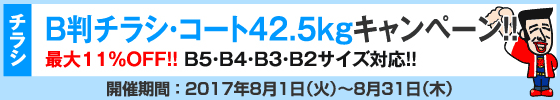 B判チラシ印刷　これだけ3%OFFキャンペーン