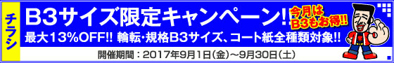 チラシ B3サイズ限定キャンペーン