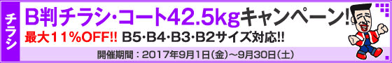 B判チラシ印刷　これだけ3%OFFキャンペーン
