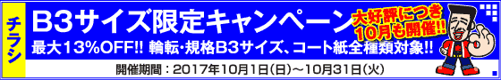 チラシ B3サイズ限定キャンペーン