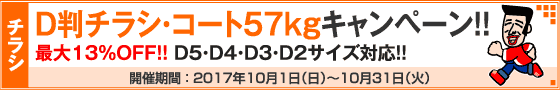 D判チラシ印刷キャンペーン　コートD判57kg限定!!