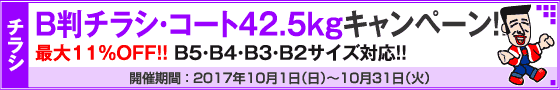 B判チラシ印刷　これだけ3%OFFキャンペーン