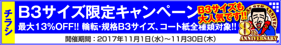 チラシ B3サイズ限定キャンペーン