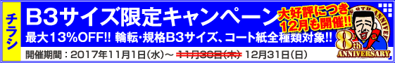 チラシ B3サイズ限定キャンペーン