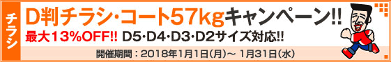 D判チラシ印刷キャンペーン　コートD判57kg限定!!
