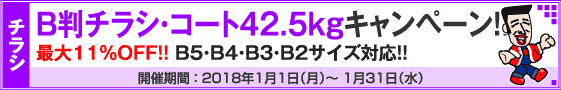 B判チラシ印刷　これだけ3%OFFキャンペーン