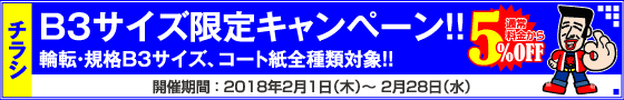 チラシ B3サイズ限定キャンペーン
