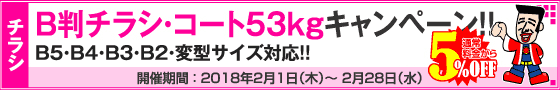 B判チラシ印刷キャンペーン　コート53kg限定!!
