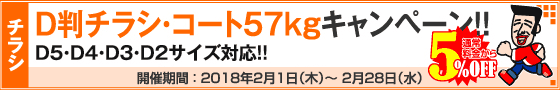 D判チラシ印刷キャンペーン　コートD判57kg限定!!