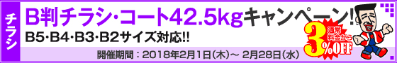 B判チラシ印刷　これだけ3%OFFキャンペーン