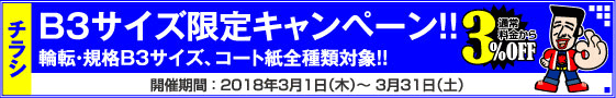 チラシ B3サイズ限定キャンペーン