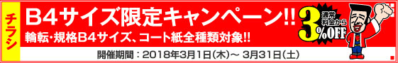 チラシ B4サイズ限定キャンペーン