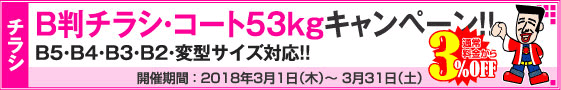 B判チラシ印刷キャンペーン　コート53kg限定!!