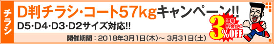 D判チラシ印刷キャンペーン　コートD判57kg限定!!