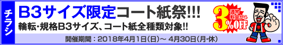 チラシ B3サイズ限定キャンペーン