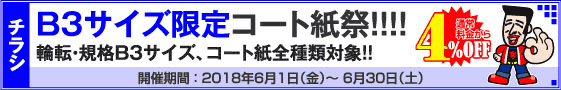 チラシ B3サイズ限定キャンペーン