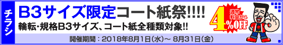 チラシ B3サイズ限定キャンペーン