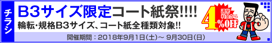 チラシ B3サイズ限定キャンペーン