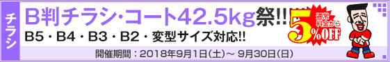 B判チラシ印刷キャンペーン　コート50kg限定!!