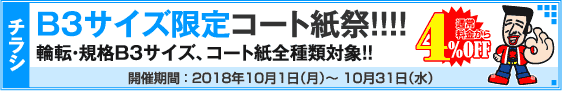 チラシ B3サイズ限定キャンペーン